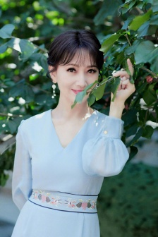 无人高清电影电视剧